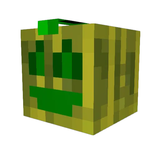 Zachbua Minecraft avatar head, 3D render