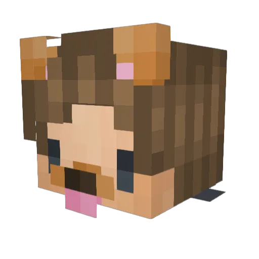ZacherzPackerz Minecraft avatar head, 3D render
