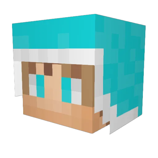 Zachiboy123 Minecraft avatar head, 3D render