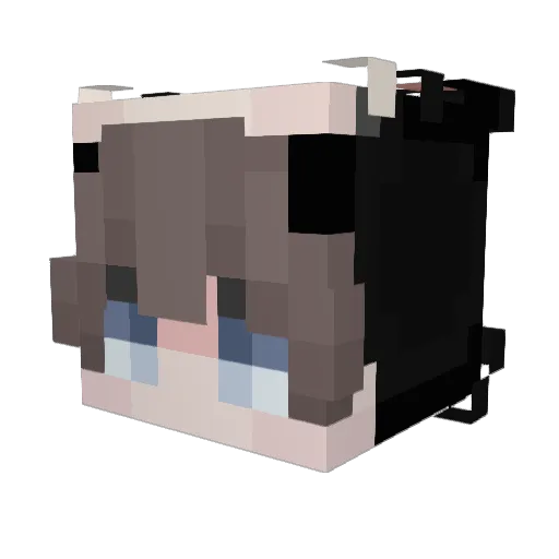 Zachie Minecraft avatar head, 3D render