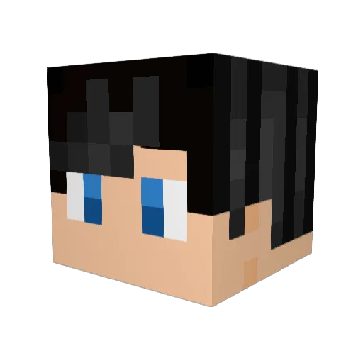 Zachinatorr Minecraft avatar head, 3D render