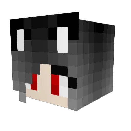 Zachos666 Minecraft avatar head, 3D render
