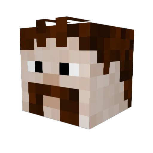 Zachracer Minecraft avatar head, 3D render