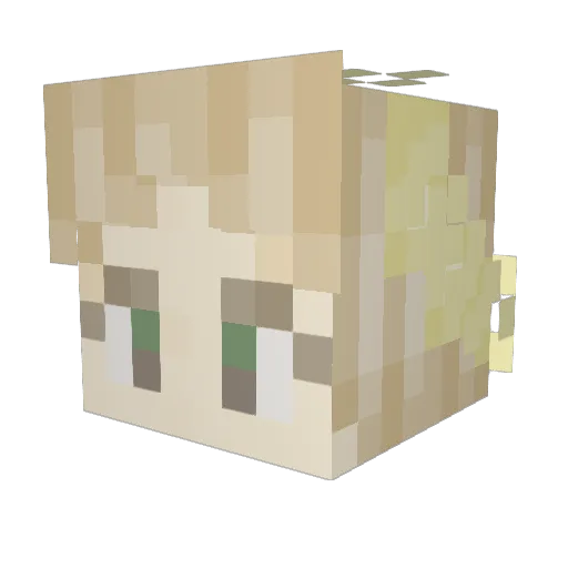 ZachsGirl Minecraft avatar head, 3D render