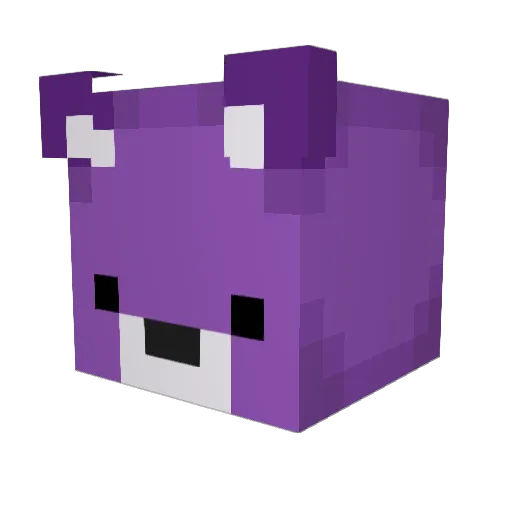 ZachtheSnac Minecraft avatar head, 3D render