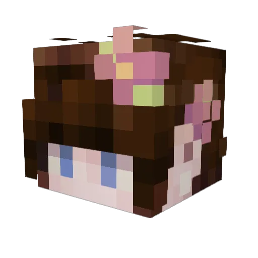 Zachthecatlover Minecraft avatar head, 3D render