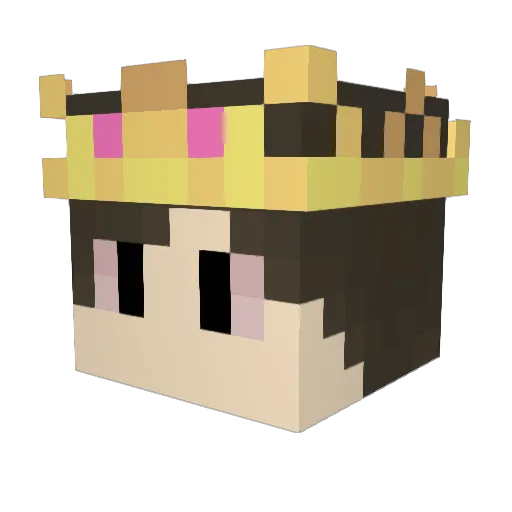 ZachusWhachus Minecraft avatar head, 3D render