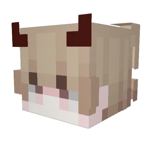 ZachyWooh Minecraft avatar head, 3D render