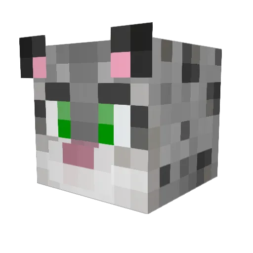 Zaciano Minecraft avatar head, 3D render