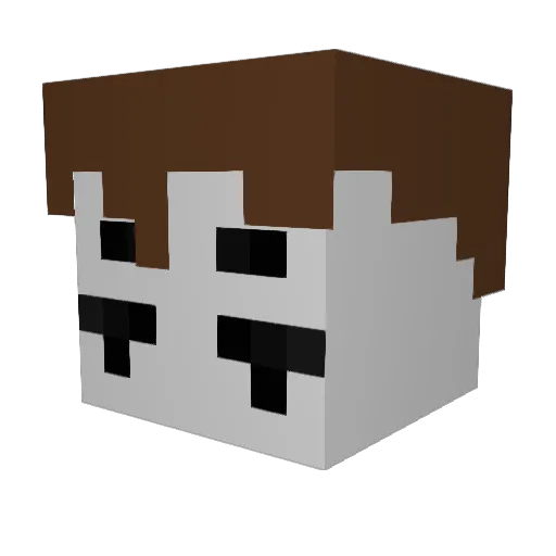 Zack1sBack Minecraft avatar head, 3D render