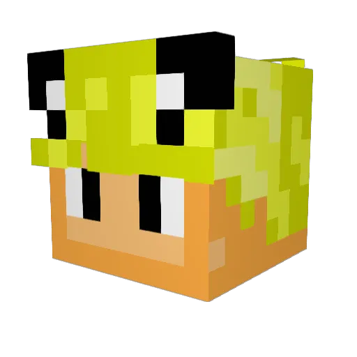 ZackPlays016 Minecraft avatar head, 3D render