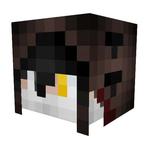 ZackRay2010 Minecraft avatar head, 3D render
