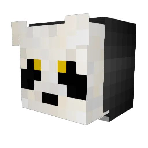 ZackTHNGaming Minecraft avatar head, 3D render