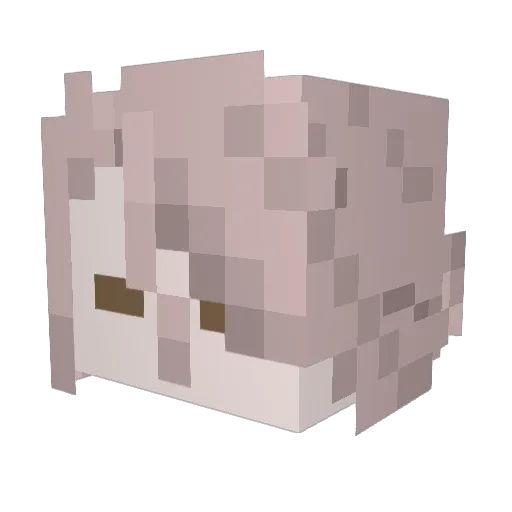 Zack_Ili_Lotus Minecraft avatar head, 3D render