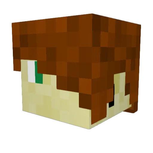 Zack_the_Snack Minecraft avatar head, 3D render