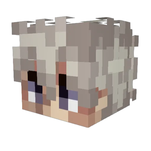 Zackary04 Minecraft avatar head, 3D render