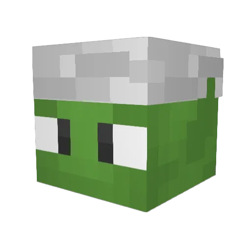 ZackaryAllan Minecraft avatar head, 3D render