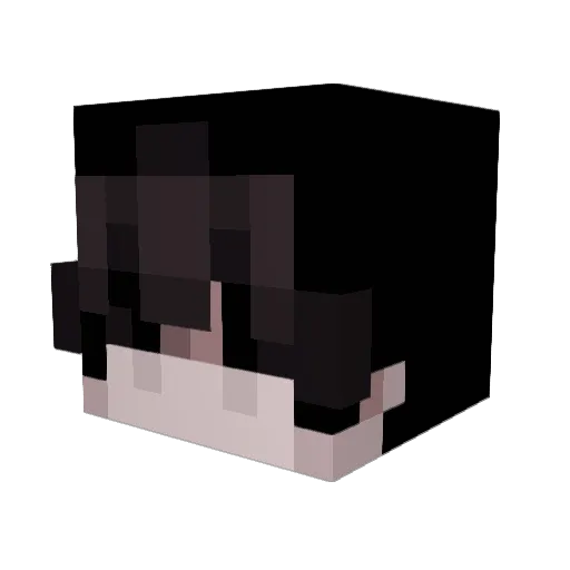 Zackgoes36 Minecraft avatar head, 3D render