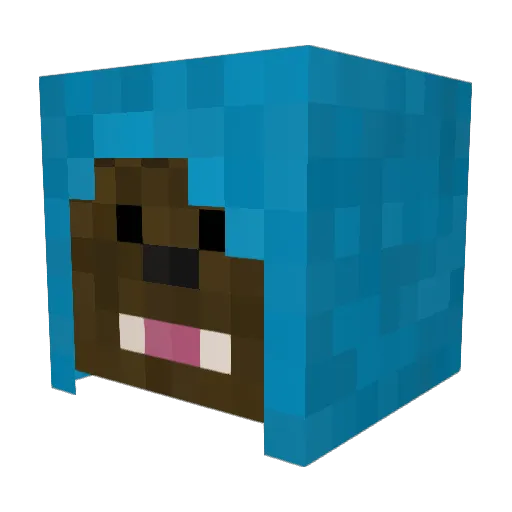 Zackkb9 Minecraft avatar head, 3D render