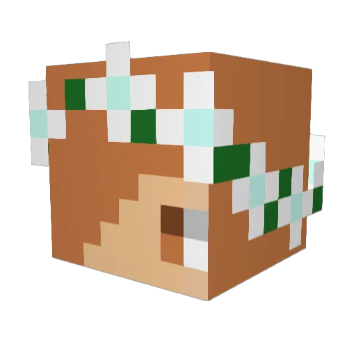 Zackman2010 Minecraft avatar head, 3D render