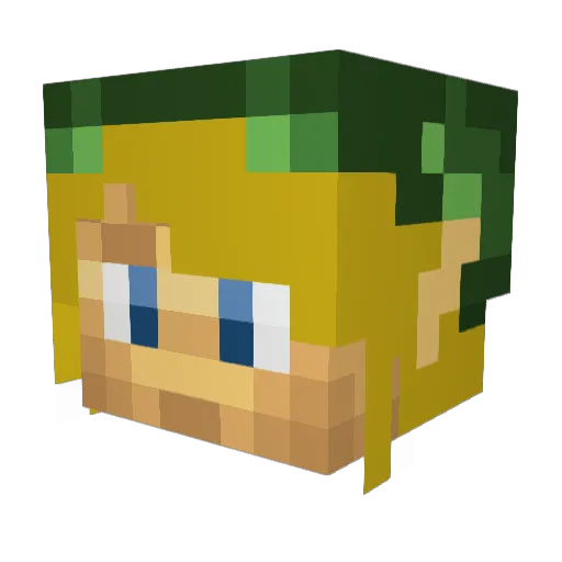 Zackness Minecraft avatar head, 3D render