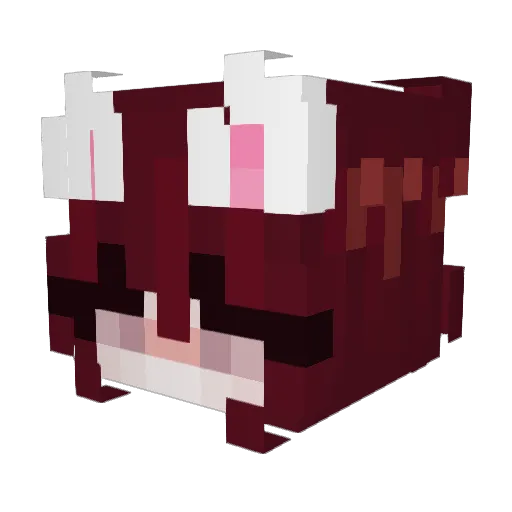 Zackry65 Minecraft avatar head, 3D render