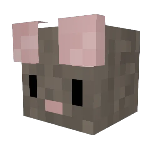 Zacktastic11 Minecraft avatar head, 3D render