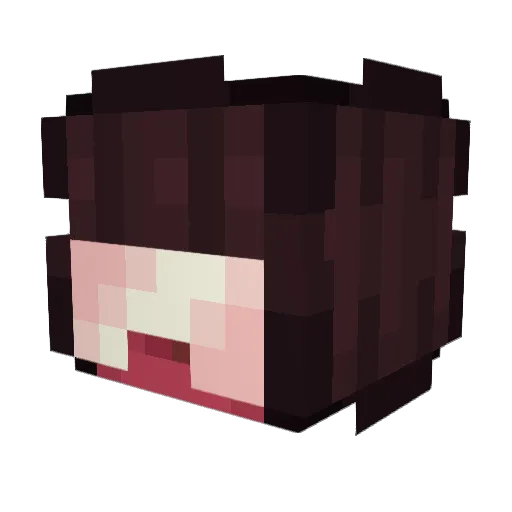 Zacky999 Minecraft avatar head, 3D render