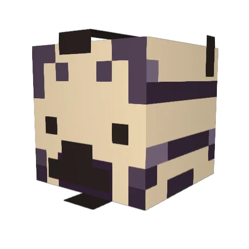 Zacorya Minecraft avatar head, 3D render