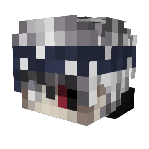 ZacyBoii Minecraft avatar head, 3D render