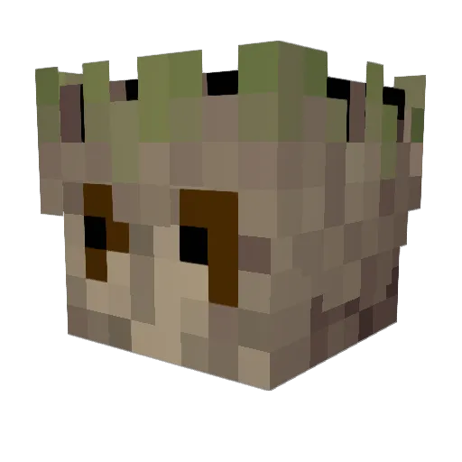 Zadda2597 Minecraft avatar head, 3D render