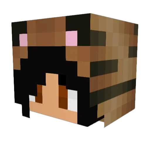 Zade1234 Minecraft avatar head, 3D render
