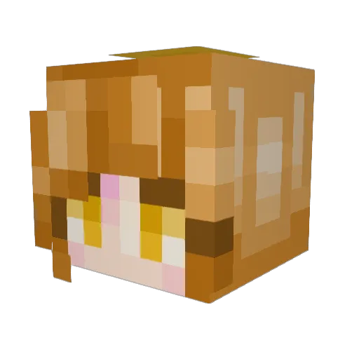 Zadira_aridaZ Minecraft avatar head, 3D render