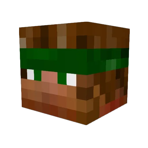 Zadon21 Minecraft avatar head, 3D render