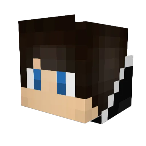 Zadrot001 Minecraft avatar head, 3D render