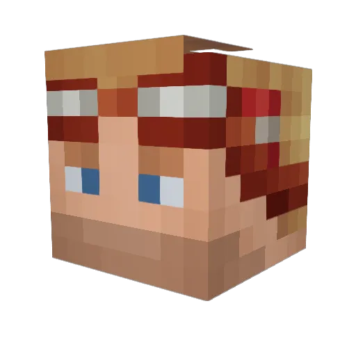 Zaelsan Minecraft avatar head, 3D render