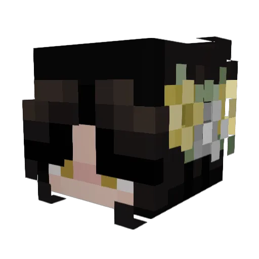 Zaerise Minecraft avatar head, 3D render