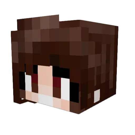 Zafiasist Minecraft avatar head, 3D render
