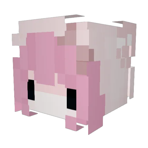 Zafiir0_ Minecraft avatar head, 3D render