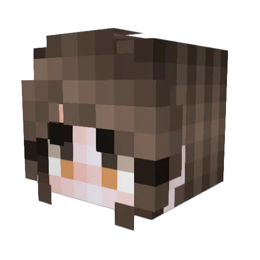 ZagPatito Minecraft avatar head, 3D render