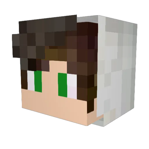 Zagi_ Minecraft avatar head, 3D render