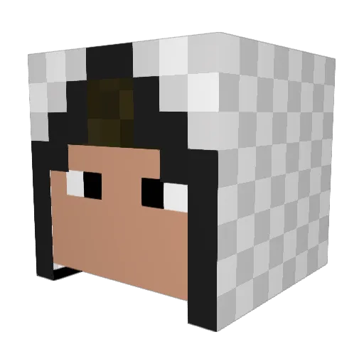 Zagoon753 Minecraft avatar head, 3D render