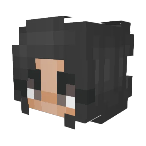 Zah1re Minecraft avatar head, 3D render