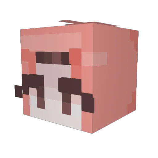 Zahranator Minecraft avatar head, 3D render