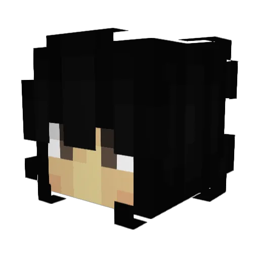 Zahren8507 Minecraft avatar head, 3D render