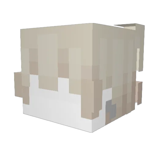 Zai111 Minecraft avatar head, 3D render