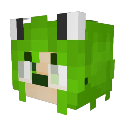 Zai_Anuran Minecraft avatar head, 3D render