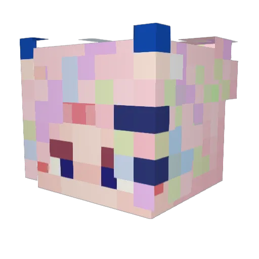 Zaide_Why Minecraft avatar head, 3D render