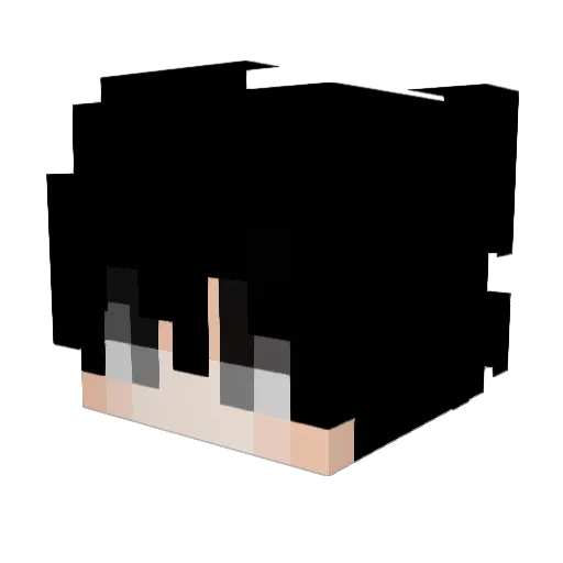Zaidk Minecraft avatar head, 3D render