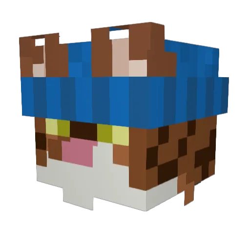 Zaik254 Minecraft avatar head, 3D render